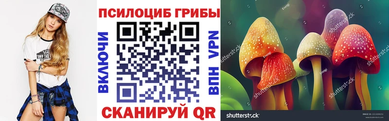 Псилоцибиновые грибы прущие грибы дарнет шоп Златоуст